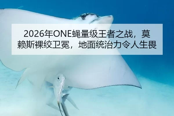 2026年ONE蝇量级王者之战，莫赖斯裸绞卫冕，地面统治力令人生畏